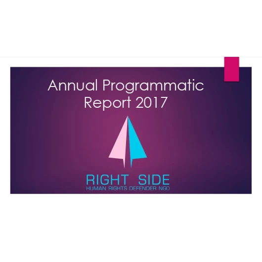 Annual Programmatic Report 2017